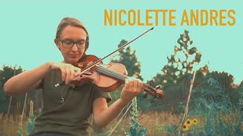 Short Improv on Andrew Bird