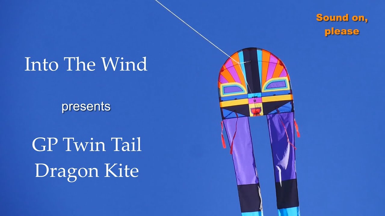 Into The Wind GP Twin Tail Dragon Kite