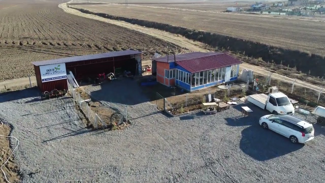 EKİN’İN ARONYA BAHÇELERİ /// PROFOSYONEL ARONYA BAHÇESİ /// GÜNALAN,ANKARA /// ARONYA MEYVESİ ///