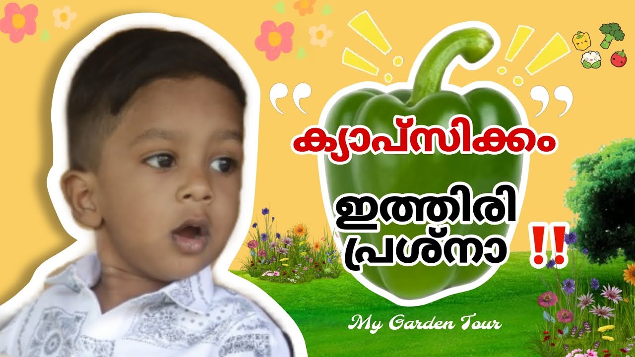 ക്യാപ്‌സിക്കം പ്രശ്‌നക്കാരനാ!! 🥵 | my garden tour | vlog | @Double_Trouble_BroZz