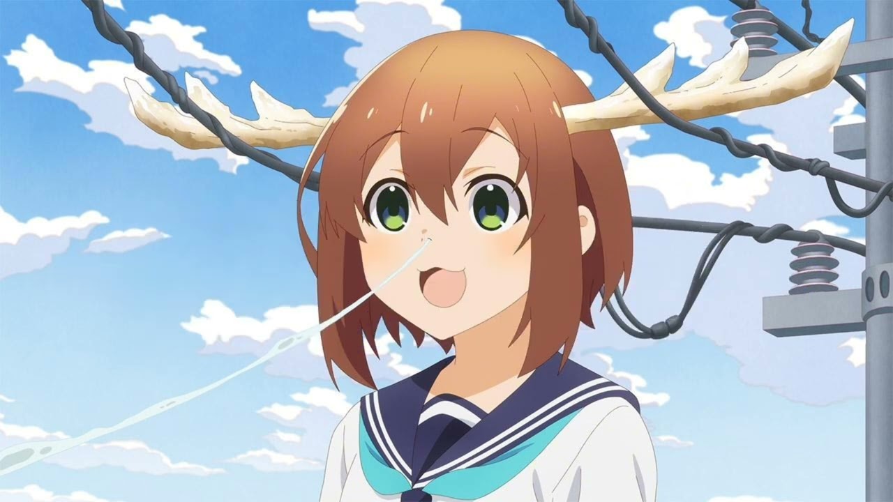 maxresdefault.jpg