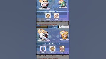 [ROX] B2B Slave Rare Drop | INT Wind Hawk | Ragnarok X: Next Generation #rox