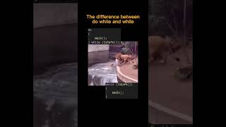 The difference between do while and while