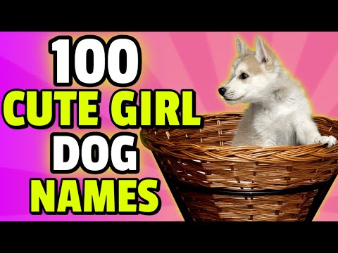 100 Cute Names For A Girl Dog 🎀 | Female Dog Names