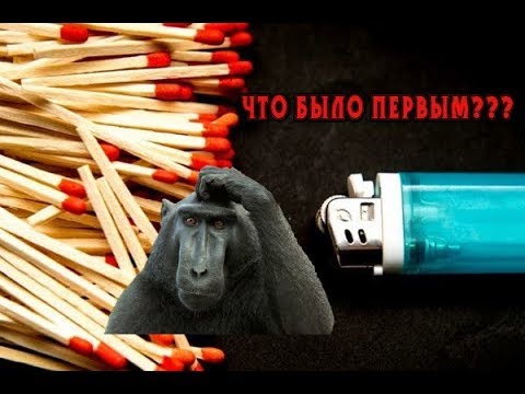 Занимательные малоизвестные факты обо всём на свете