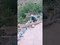 شوقي بلاشواق من زد عاش ليلة من الماضيات االشاعر ابوغيث الفلاحي صوت جميل شوقي بلاشواق من زد عاش ليلة من الماضيات االشاعر ابوغيث الفلاحي صوت جميل