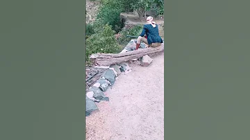 شوقي بلاشواق من زد عاش ليلة من الماضيات االشاعر ابوغيث الفلاحي صوت جميل 