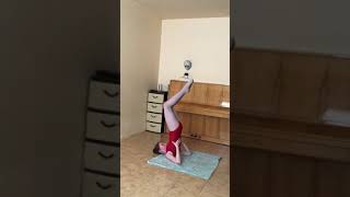 IMG 0322