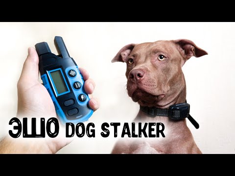 Электронный ошейник для дрессировки собак DOG-STALKER