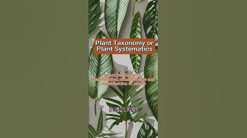 Plant Taxonomy or Plant Systematics - Biology Vocabulary | Insights Biology