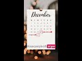 Stop Turning Your Ads Off on Christmas (The Power of Q5) #shorts