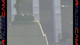 Camera 1 - 08/21/17