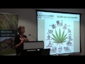 Developing a sustainable hemp industry in WA