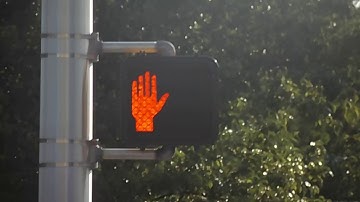 LED Countdown Walk Signal In New Jersey