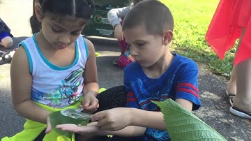 Rick Crosslin Science - Get Five Nature Hike - Grade 1 Science