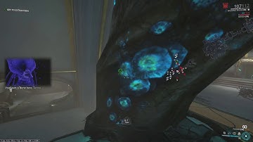 Warframe | Orokin Vault Speedrun 23.117s