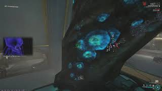 Warframe | Orokin Vault Speedrun 23.117s