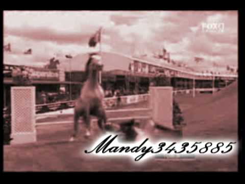 Equestrian ll Tomorrow SR-71 ll 700 subscribers