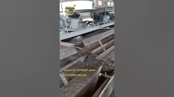 lead zinc ore flotation plant flotation machine