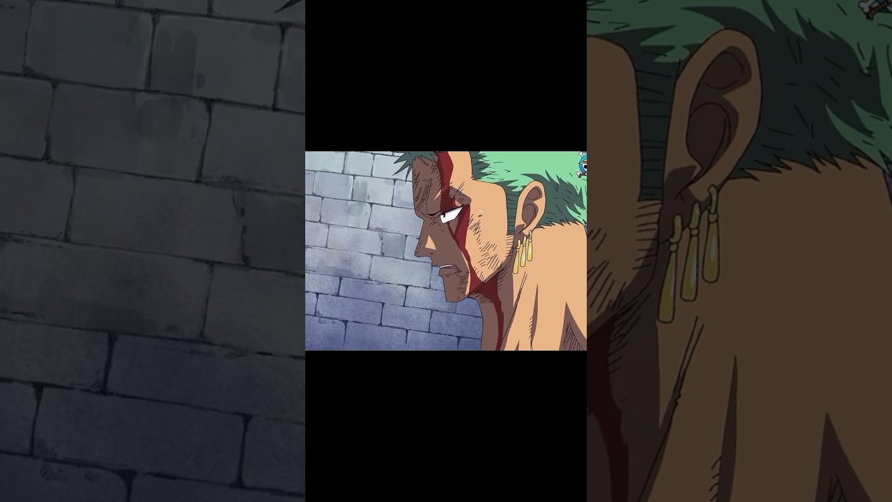 Outline Video Muốn biết địa ngục như thế nào hãy hỏi Zoro 🥺🥺🥺