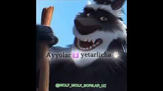 Wolf wolk bo'rilar uz/2024-yil