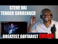 Totally Awesome Reaction to Steve Vai - Tender Surrender