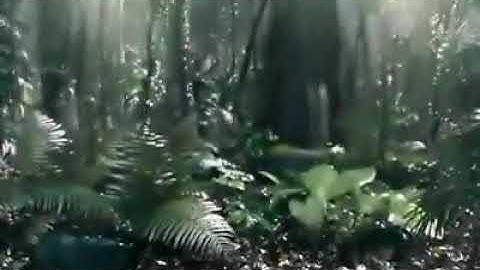 تلاوه قرانيه نادره للشيخ كامل يوسف البهتيمي رحمه الله