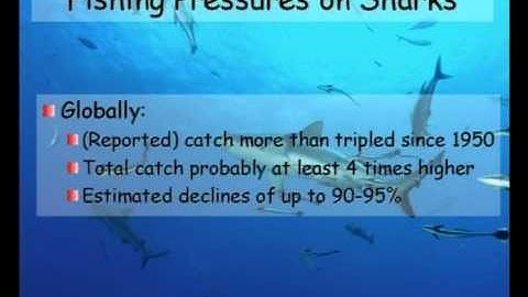 Sean Connolly - The Ongoing Collapse of Coral Reef Shark Populations (Top Predators in Peril)