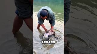 Cara Unik Tangkap Labi-labi ‼️ 😱 #viralshorts