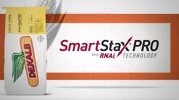 DEKALB® Brand SmartStax® PRO With RNAi Technology