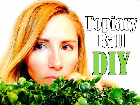 วีดีโอ: DIY Topiary Ball