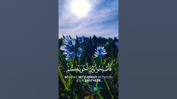 سورة الحجرات آيه {١٠} #quran #المصحف #shortvideo #لايك #اكسبلور #حالات_واتس #quotes #duet #peace #رع