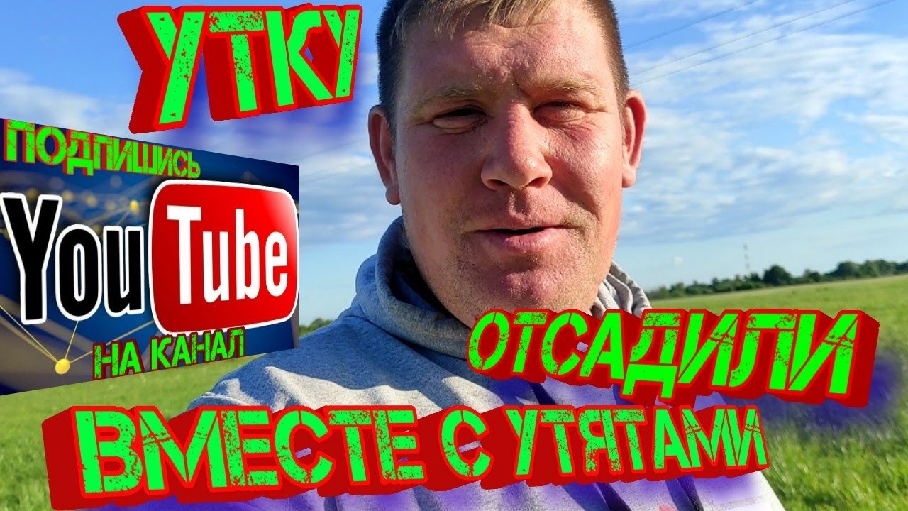 Утку отсадили вместе с утятами!!! - YouTube