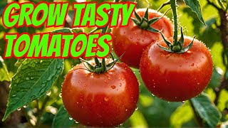 Secrets to Growing Healthy and Tasty Tomatoes