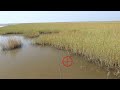 Sight Fishing Redfish | #FRSHCatch
