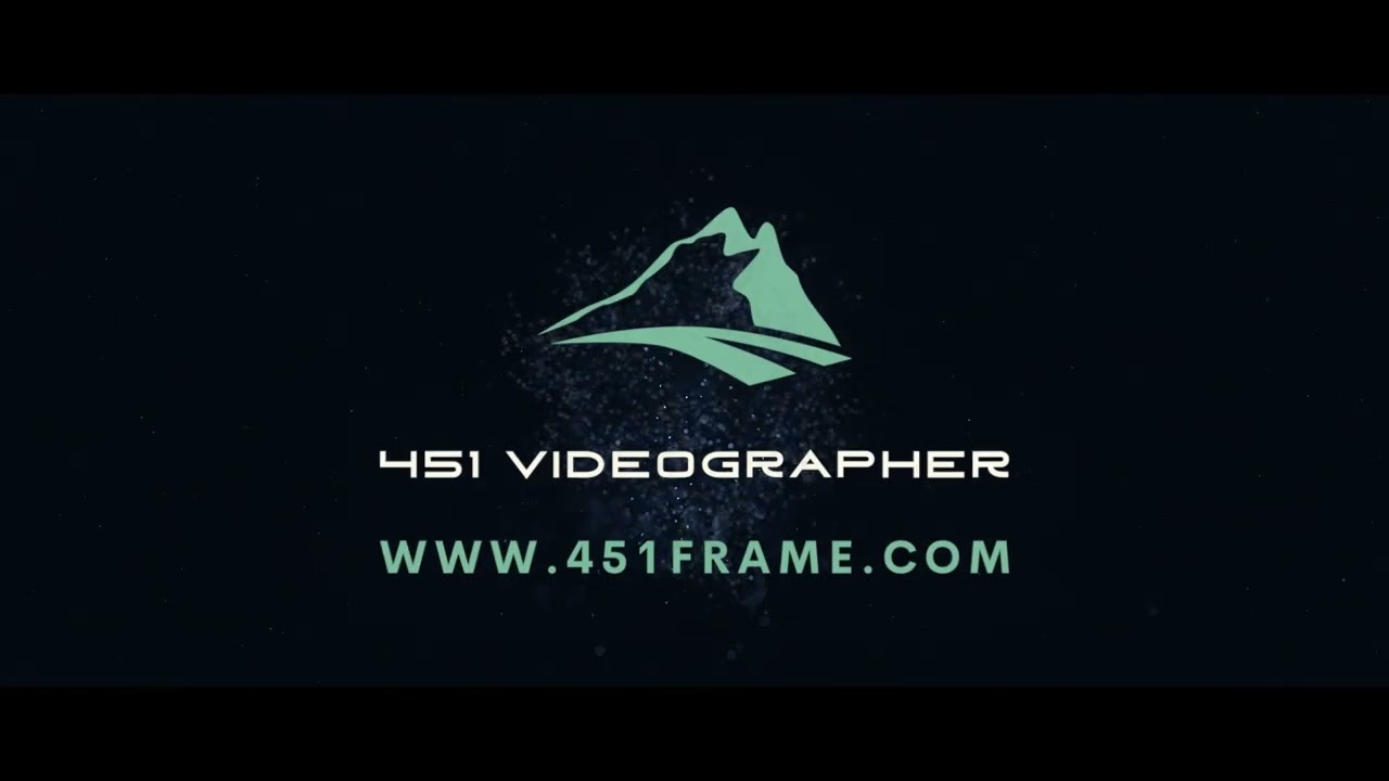 Butterfly Logo