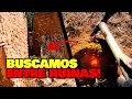 Buscando TESOROS en RUINAS de Pueblo Abandonado de Zacatecas