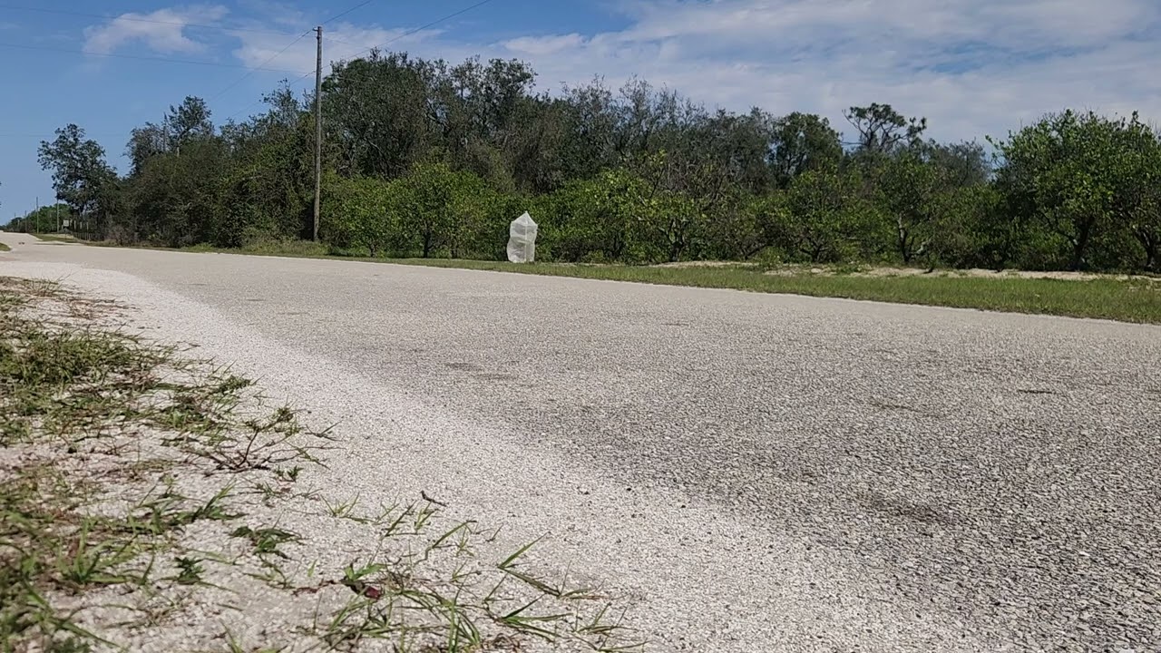 Bolink Legends Oval Racer lives on