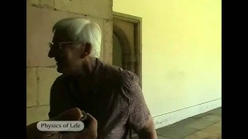 Physics of Life - Speed of Sound. How Newton Measured It