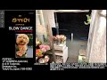 【Sat.05/30/2026 Livecamera at the florist】 スローダンス SLOWDANCE 等々力 尾山台 世田谷 Setagaya 東京 Tokyo 日本 Japan