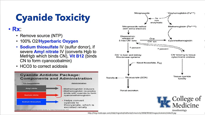 Keyword Review: Temperature and Toxicity - Dr. Sch...