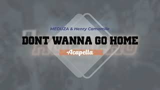 Meduza U0026 Henry Camamile  Dont Wanna Go Home acapella  Instrumental