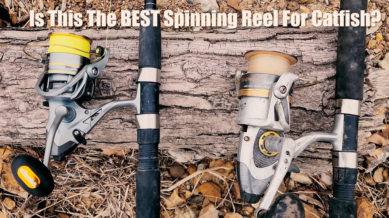 Is This The Best Spinning Reel For Catfish? My Review of the Okuma Avenger!  