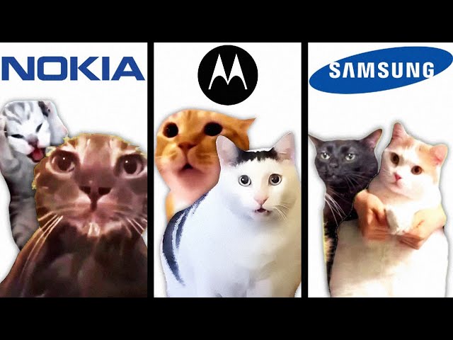 Meme Cats: Famous Phone Ringtones