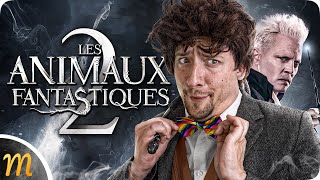 Dumbledore + Grindelwald = ?? - LES ANIMAUX FANTASTIQUES 2