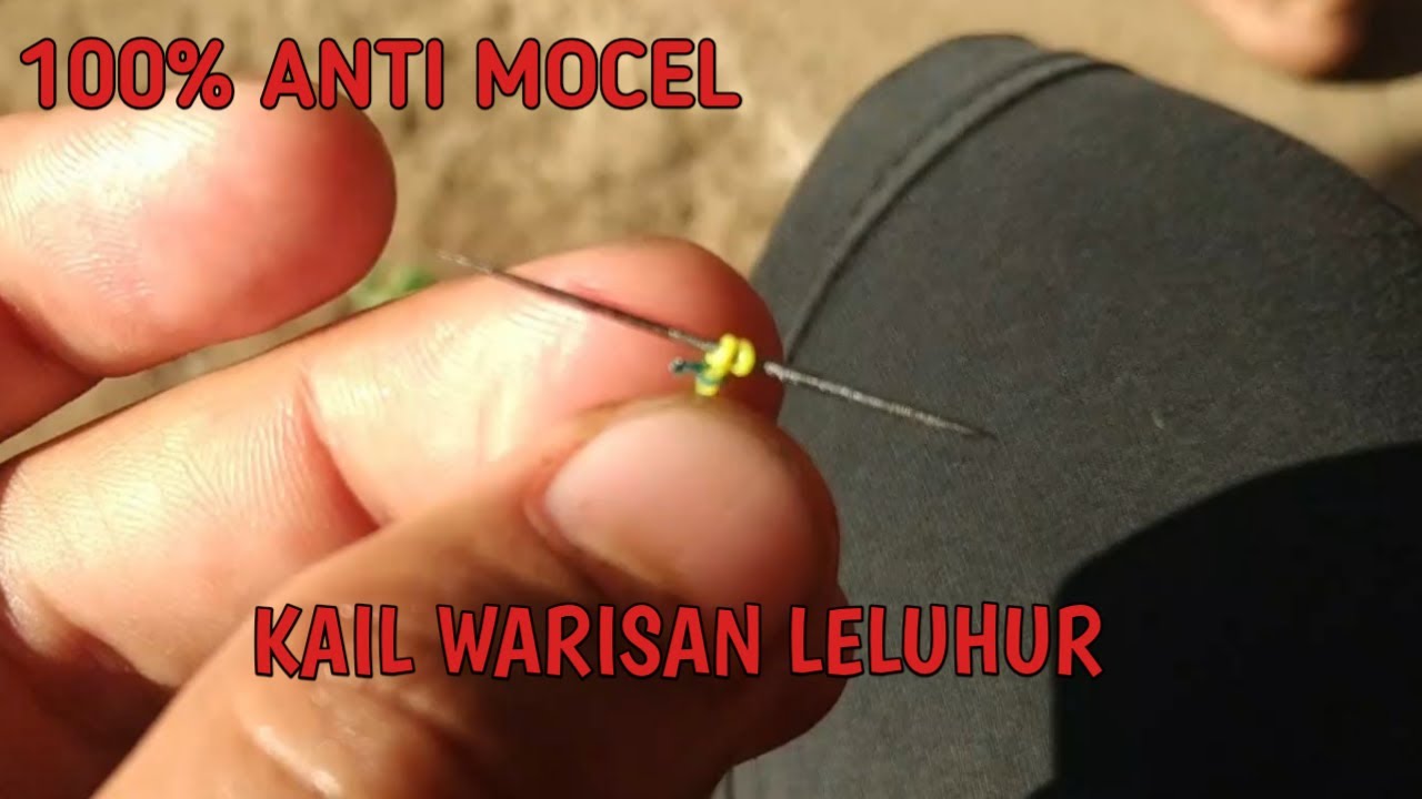 CARA BIKIN UREK PALANG | KAIL PALANG