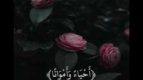 قران كريم بصوت صلاح المصلى🌸💙|حالات واتس أب