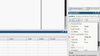 -Tutorial- Quiz mit Visual Basic programmieren