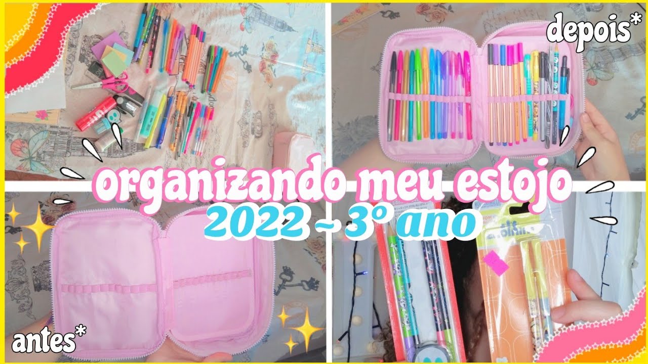 organizando meu estojo 2022✨ ~ estojo 100 pens :) ~