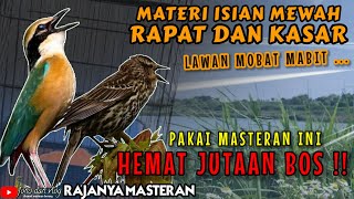 HEMAT JUTAAN BOS !! BURUNG TEMBAKAN RAPAT DAN KASAR UNTUK ISIAN | MATERI ISIAN MEWAH